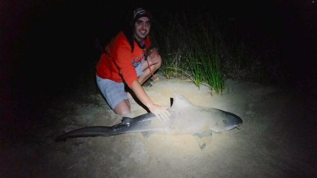 POTM Kayak caught Swan River Bull Shark 